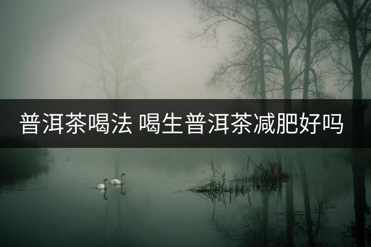 普洱茶喝法 喝生普洱茶減肥好嗎？