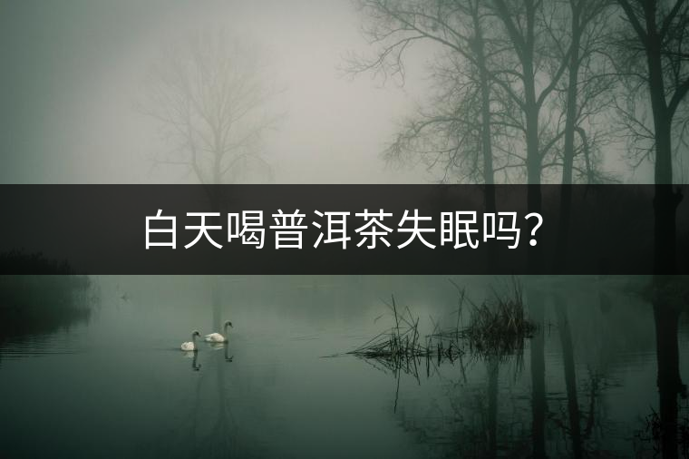 白天喝普洱茶失眠嗎？