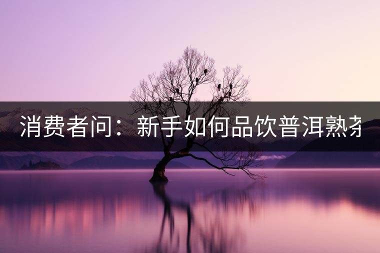 消費者問：新手如何品飲普洱熟茶？