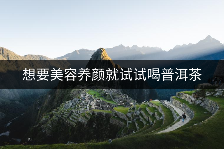 想要美容養(yǎng)顏就試試喝普洱茶 想要美容養(yǎng)顏就試試喝普洱茶
