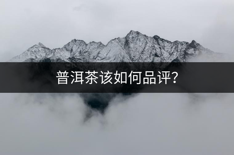 普洱茶該如何品評(píng)？