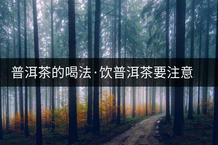 普洱茶的喝法·飲普洱茶要注意哪些事項(xiàng) 普洱茶的喝法·飲普洱茶要注意哪些事項(xiàng)