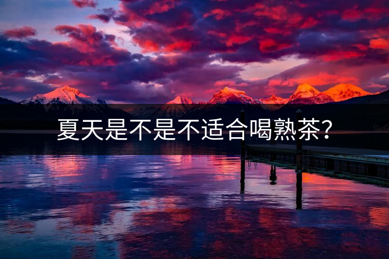 夏天是不是不適合喝熟茶？