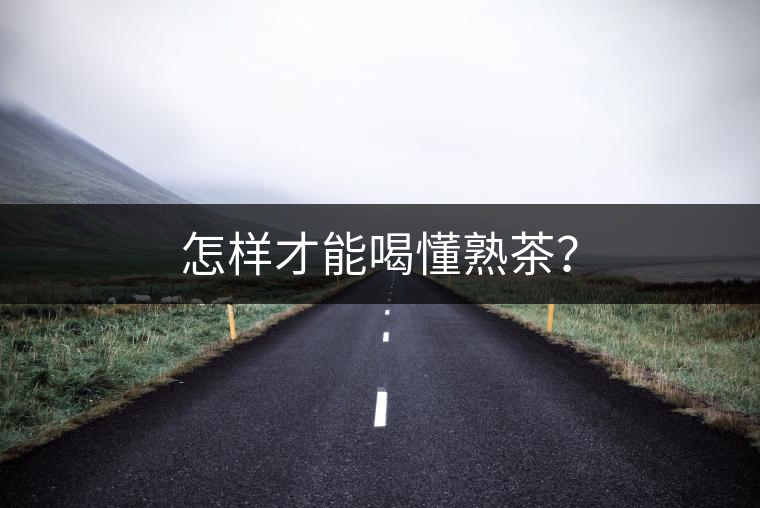 怎樣才能喝懂熟茶？
