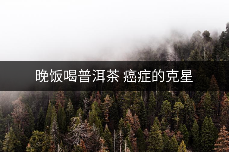 晚飯喝普洱茶 癌癥的克星 晚飯喝普洱茶 癌癥的克星