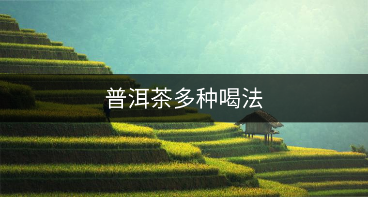 普洱茶多種喝法 普洱茶多種喝法