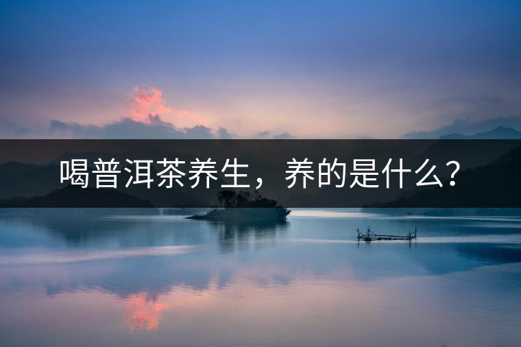 喝普洱茶養(yǎng)生，養(yǎng)的是什么？