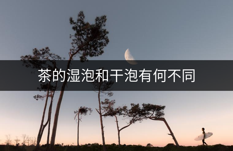 茶的濕泡和干泡有何不同 茶的濕泡和干泡有何不同