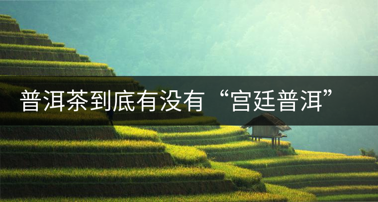 普洱茶到底有沒有“宮廷普洱”一說？它到底是什么？