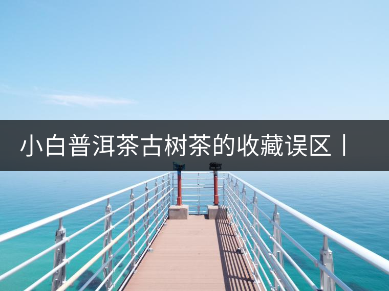 小白普洱茶古樹茶的收藏誤區(qū)丨回甘要快 小白普洱茶古樹茶的收藏誤區(qū)丨回甘要快