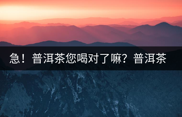 急！普洱茶您喝對(duì)了嘛？普洱茶的十八般武藝