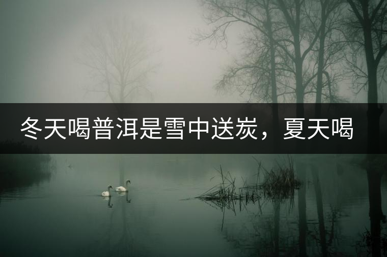 冬天喝普洱是雪中送炭，夏天喝就是火上澆油了？