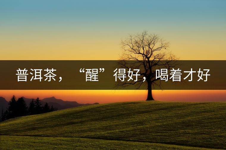 普洱茶，“醒”得好，喝著才好