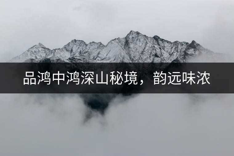 品鴻中鴻深山秘境，韻遠(yuǎn)味濃