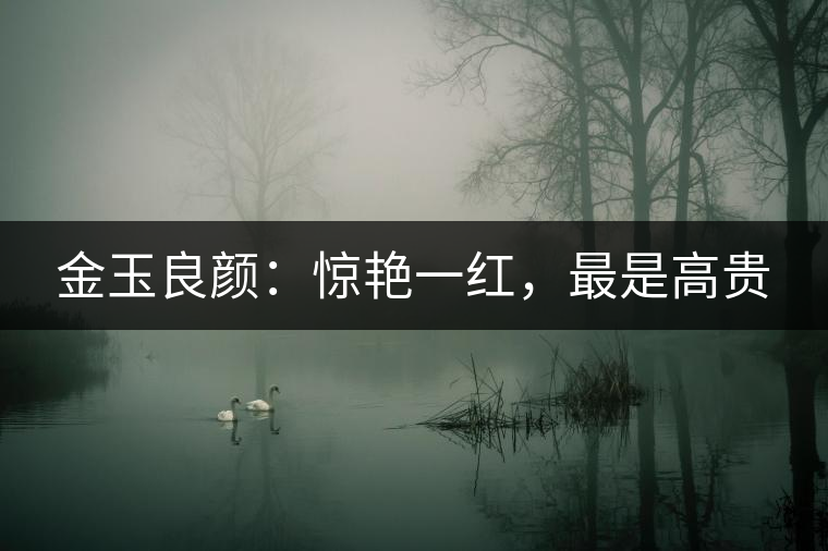 金玉良顏:驚艷一紅,最是高貴 金玉良顏:驚艷一紅,最是高貴