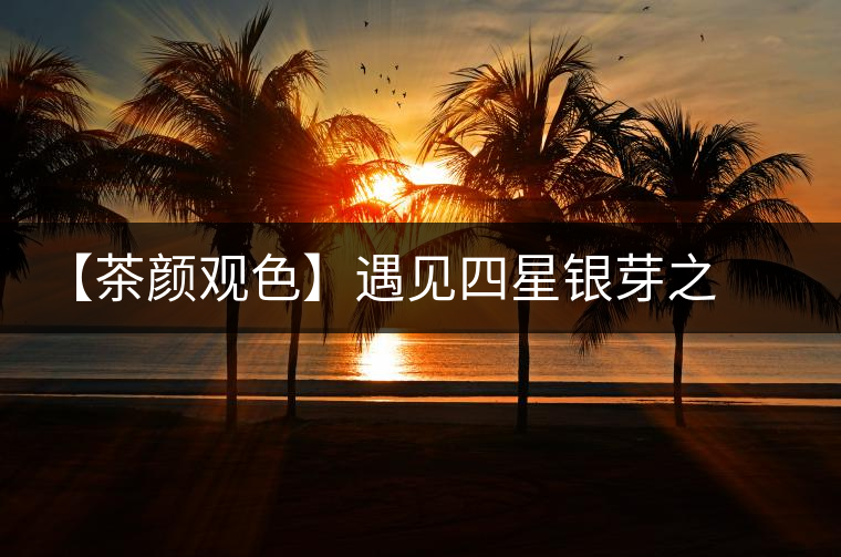 【茶顏觀色】遇見四星銀芽之美 【茶顏觀色】遇見四星銀芽之美
