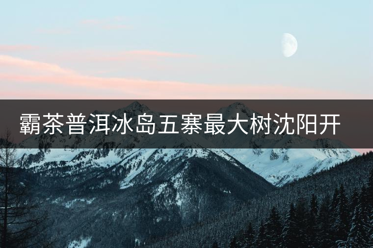 霸茶普洱冰島五寨最大樹沈陽開湯 霸茶普洱冰島五寨最大樹沈陽開湯