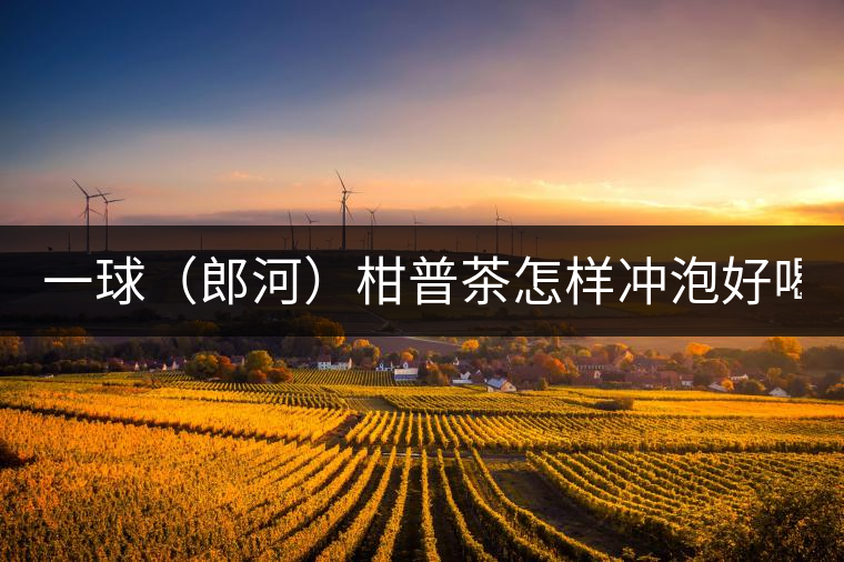 一球（郎河）柑普茶怎樣沖泡好喝？