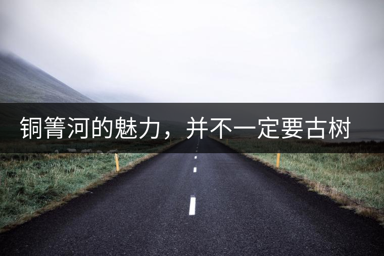 銅箐河的魅力，并不一定要古樹來體現(xiàn)