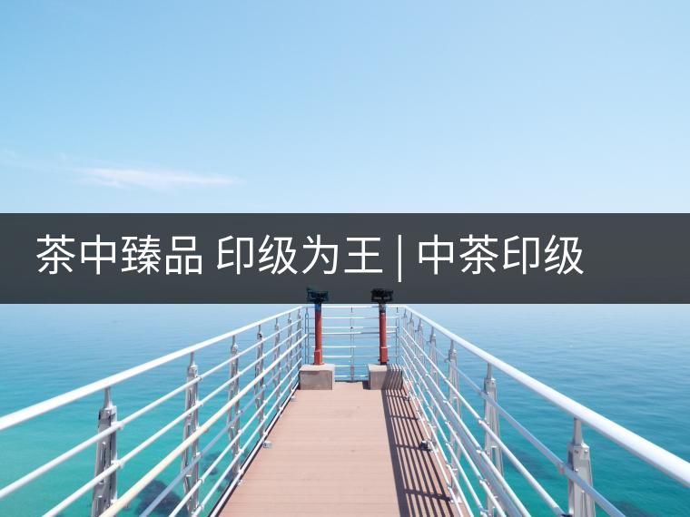 茶中臻品 印級(jí)為王 | 中茶印級(jí):值得收藏的普洱茶 茶中臻品 印級(jí)為王 | 中茶印級(jí):值得收藏的普洱茶
