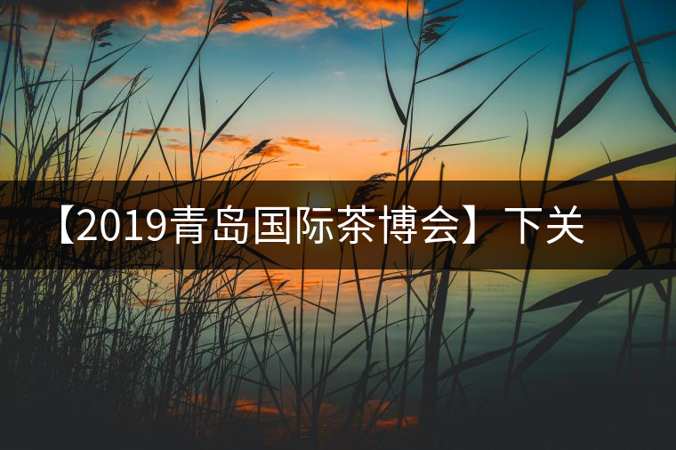 【2019青島國際茶博會】下關(guān)沱茶攜新品C位亮相！