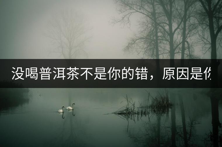 沒喝普洱茶不是你的錯，原因是你還沒遇到Y671與Y562