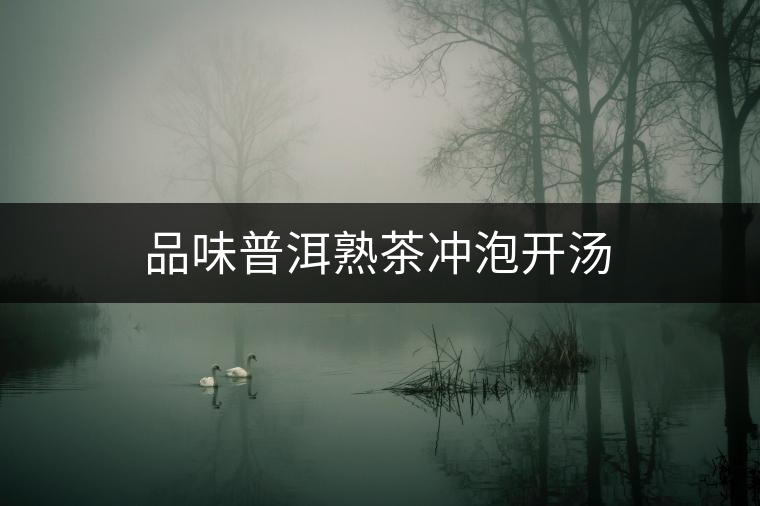 品味普洱熟茶沖泡開湯