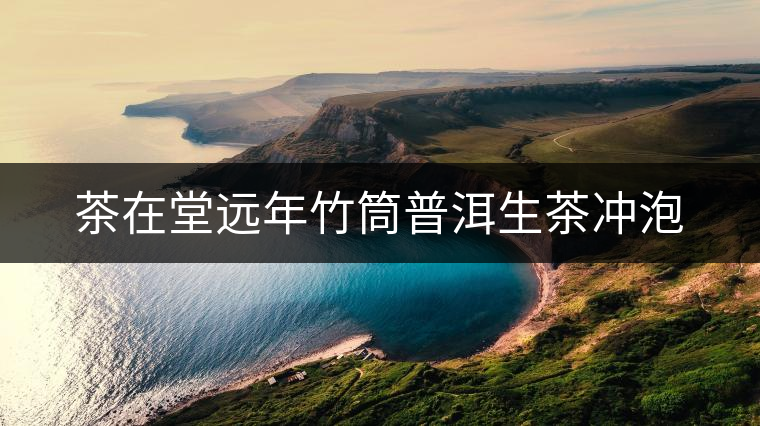 茶在堂遠年竹筒普洱生茶沖泡 茶在堂遠年竹筒普洱生茶沖泡