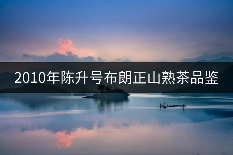 2010年陳升號布朗正山熟茶品鑒 2010年陳升號布朗正山熟茶品鑒