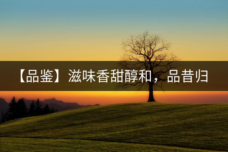 【品鑒】滋味香甜醇和，品昔歸古樹黃片