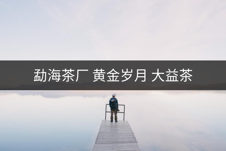 勐海茶廠 黃金歲月 大益茶 勐海茶廠 黃金歲月 大益茶