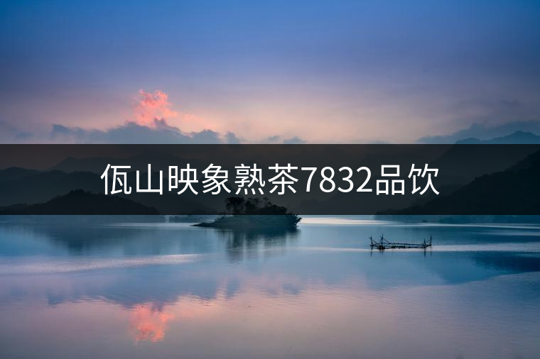 佤山映象熟茶7832品飲 佤山映象熟茶7832品飲