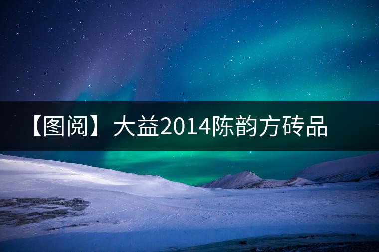 【圖閱】大益2014陳韻方磚品評