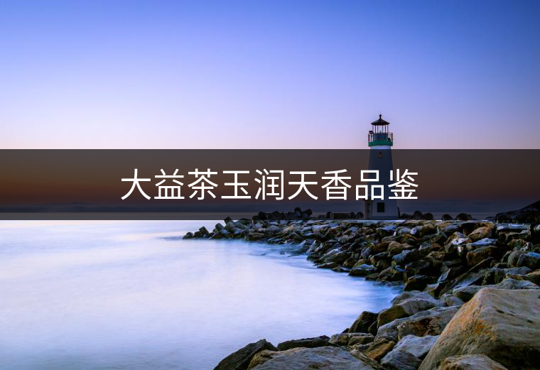 大益茶玉潤天香品鑒