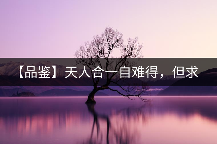 【品鑒】天人合一自難得，但求得茶之本味