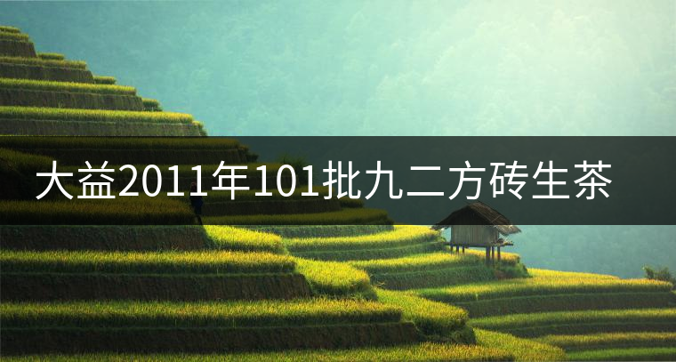 大益2011年101批九二方磚生茶品評 大益2011年101批九二方磚生茶品評