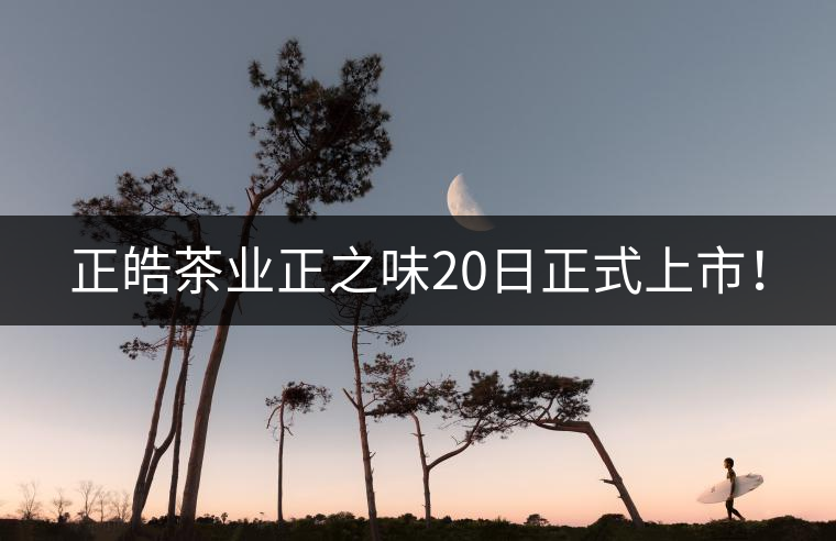 正皓茶業(yè)正之味20日正式上市！