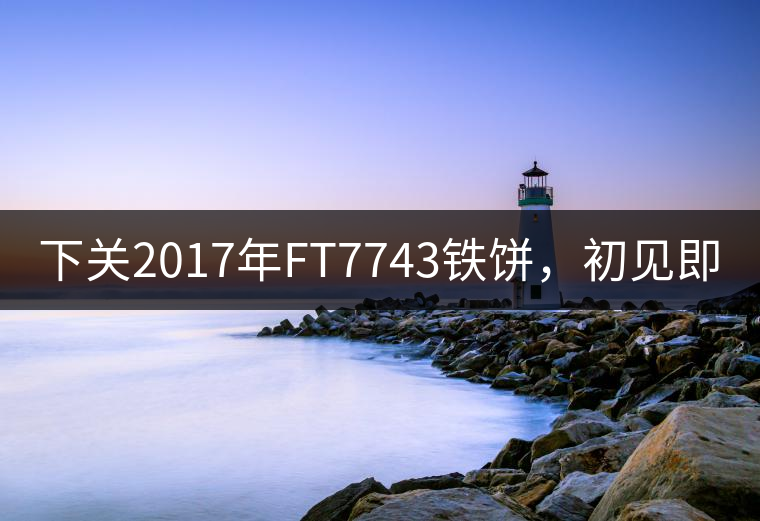下關(guān)2017年FT7743鐵餅，初見即傾城!