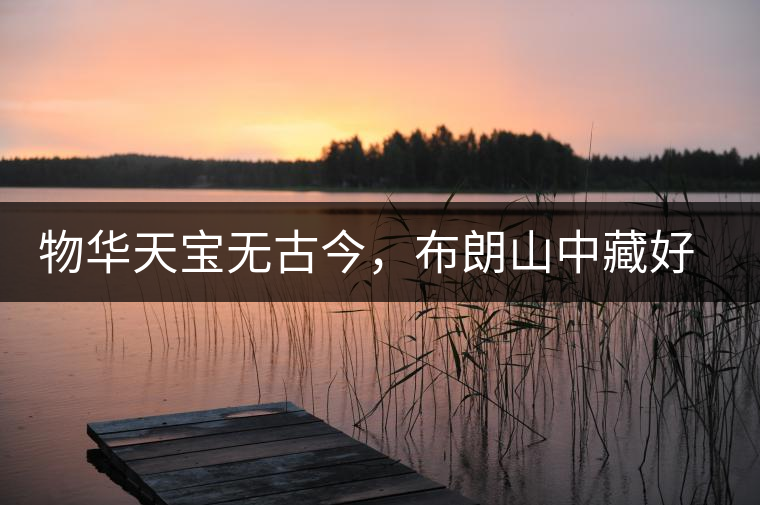 物華天寶無古今，布朗山中藏好茶