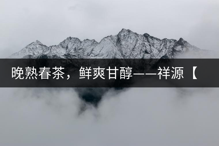 晚熟春茶，鮮爽甘醇——祥源【政和大白】清鮮上市