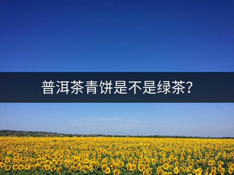普洱茶青餅是不是綠茶？