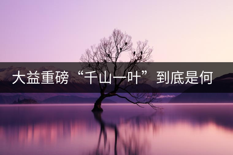 大益重磅“千山一葉”到底是何方神圣？