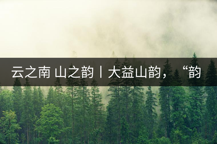 云之南 山之韻丨大益山韻，“韻”味傳奇之山韻歸來