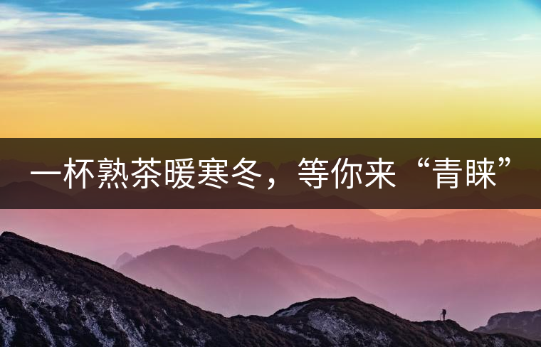 一杯熟茶暖寒冬，等你來“青睞”