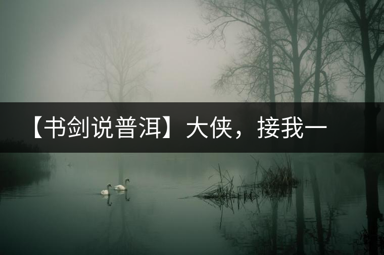 【書劍說普洱】大俠，接我一棒