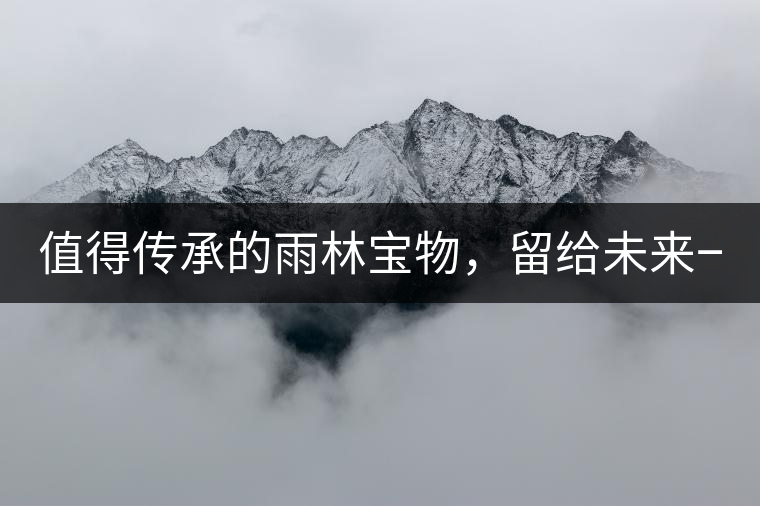 值得傳承的雨林寶物，留給未來(lái)一點(diǎn)“回甘”！