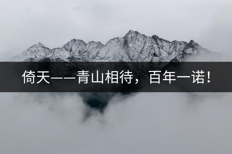 倚天——青山相待，百年一諾！