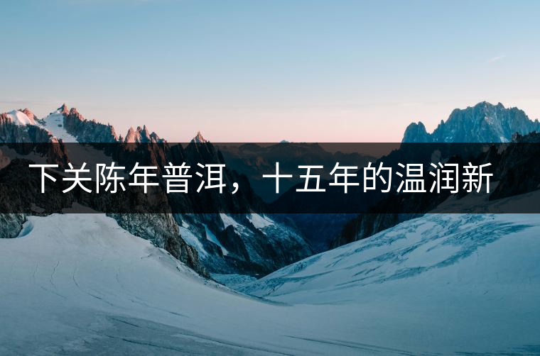 下關(guān)陳年普洱，十五年的溫潤新生