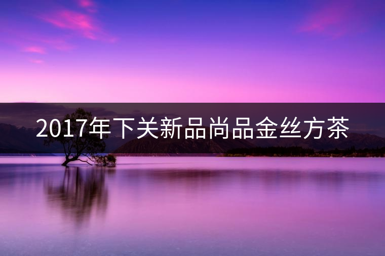 2017年下關新品尚品金絲方茶 2017年下關新品尚品金絲方茶