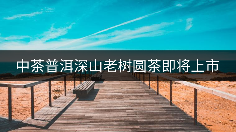 中茶普洱深山老樹圓茶即將上市 中茶普洱深山老樹圓茶即將上市